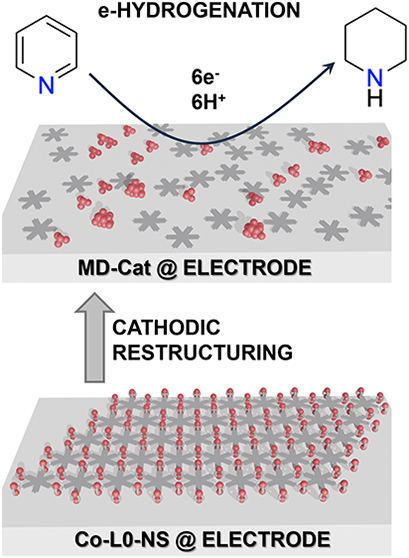 Electrocatalytic Hydrogenation with Nanoparticles Derived from a Cobalt Metal–Organic Framework